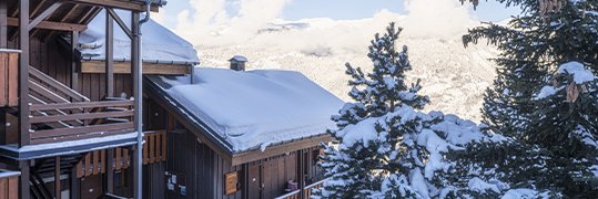 Chalet dans la Plagne Montalbert avec des sapins enneigés