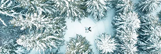 Une vue aérienne sur une forêt de sapins enneigés et au centre une personne dessine un ange dans la neige