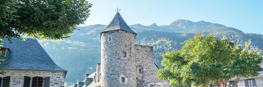Vue sur un château avec un fond de montagne