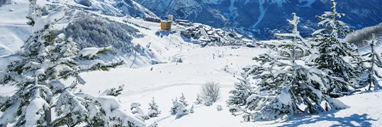 Vue sur une piste de ski bordée de sapins enneigés