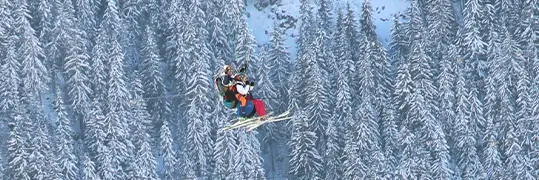 Skieur extrême entre les sapins enneigés