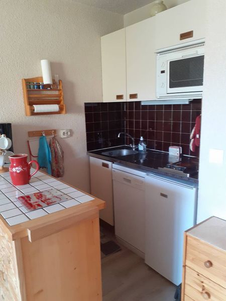 Appartement Les Choseaux CHO-MAS-10 - Saint Sorlin d'Arves