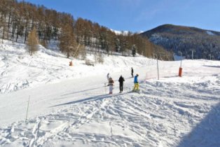 Monts du Bois d'Or Colchique* - Les Orres