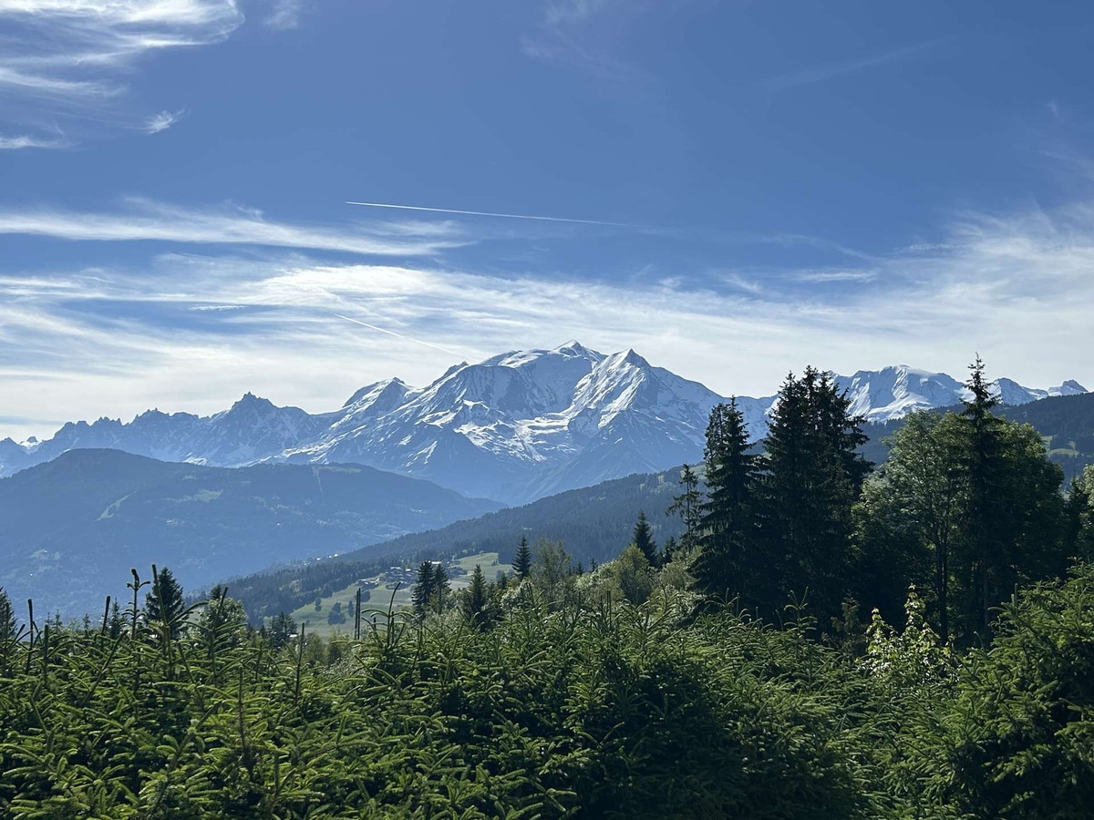 Appartement Combloux, 3 pièces, 7 personnes - Combloux