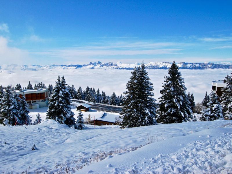 Charmant studio cabine à Chamrousse avec équipements complets, idéal pour 4 personnes FR-1-340-281 - Chamrousse