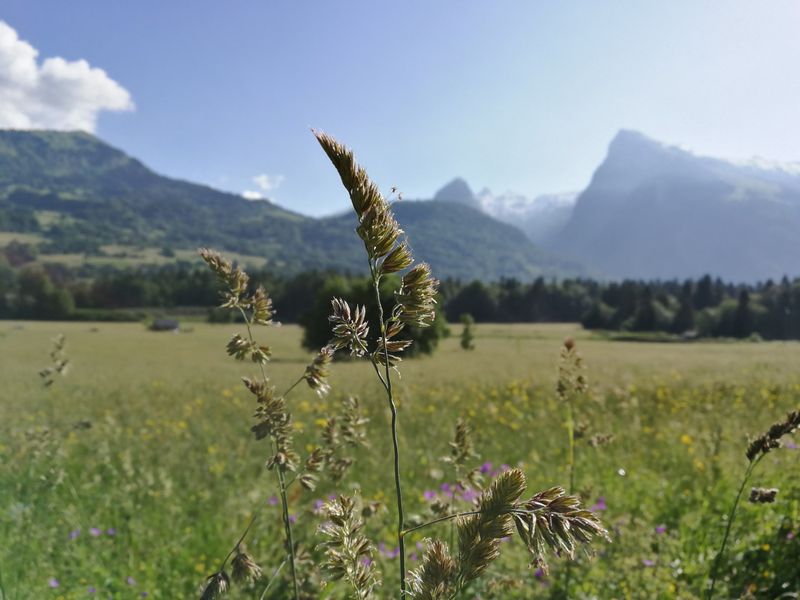 Appartement T3 central à Samoëns avec jardin et WIFI FR-1-624-162 - Samoëns