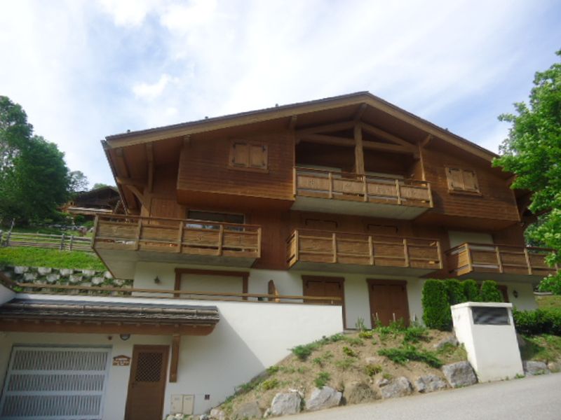 Appartement cosy près des pistes avec garage, WIFI, terrasse - La Clusaz FR-1-459-234 - La Clusaz