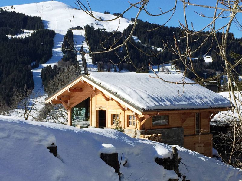 Chalet 4* sur pistes, belles prestations, parking, WIFI FR-1-598-57 - Les Gets