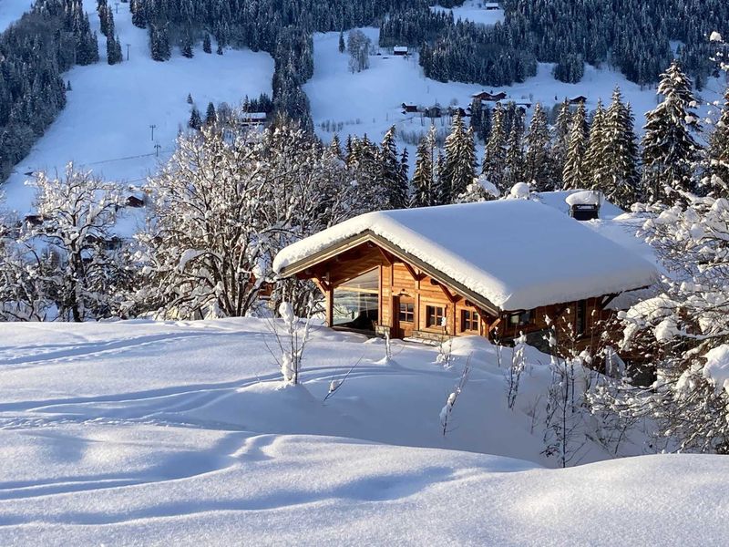 Chalet 4* sur pistes, belles prestations, parking, WIFI FR-1-598-57 - Les Gets