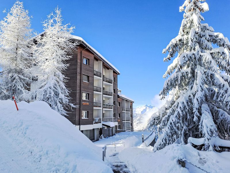 Appartement Les Girolles A59 - Bagnes - Verbier