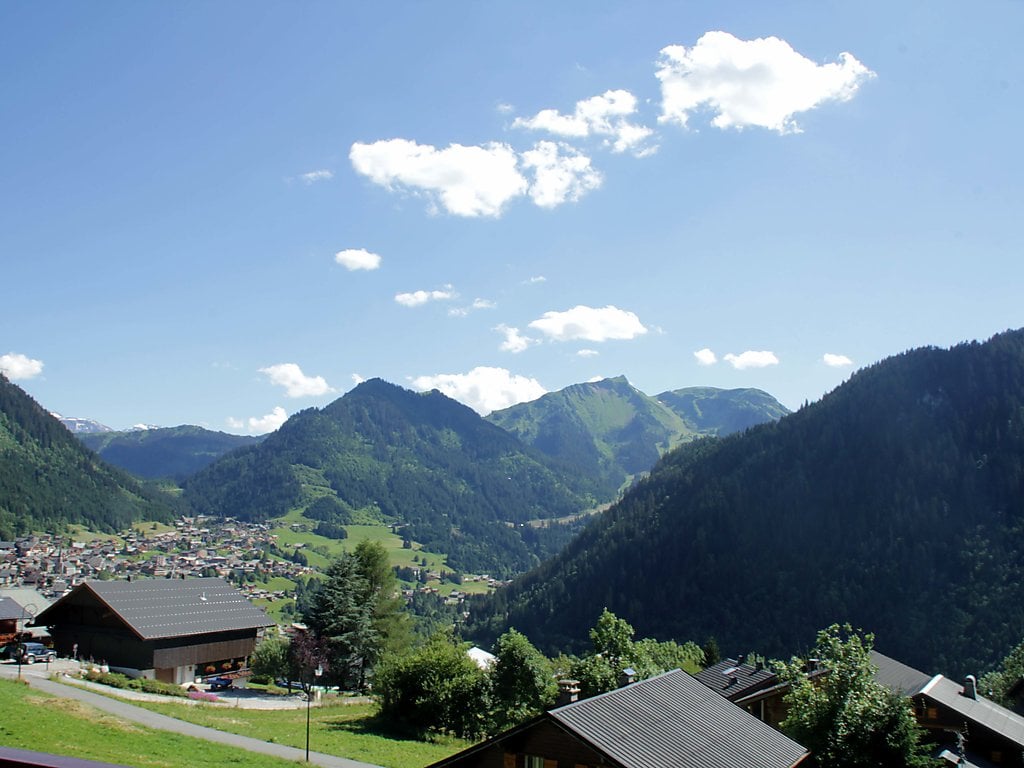 Appartement Tovassière A et B - Châtel