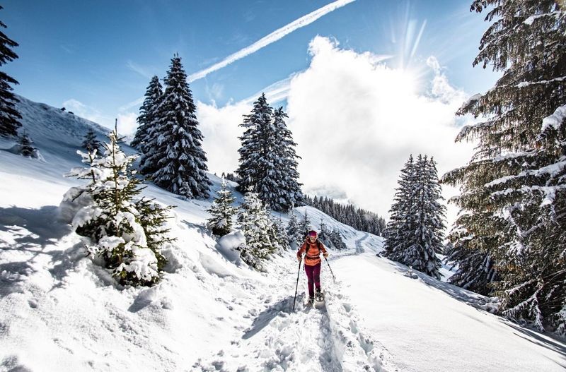 Studio Amarillys AM2 MOUNTAIN & TELECABINE 4 Pers. - Châtel