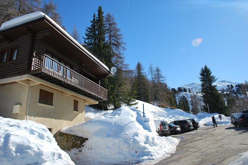 4 pièces 7 personnes Tradition - Chalet Springbock - Plagne Centre