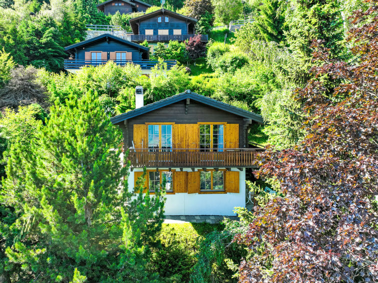 Châlet 4 pièces 5 personnes Confort - Châlet Magicien - Nendaz