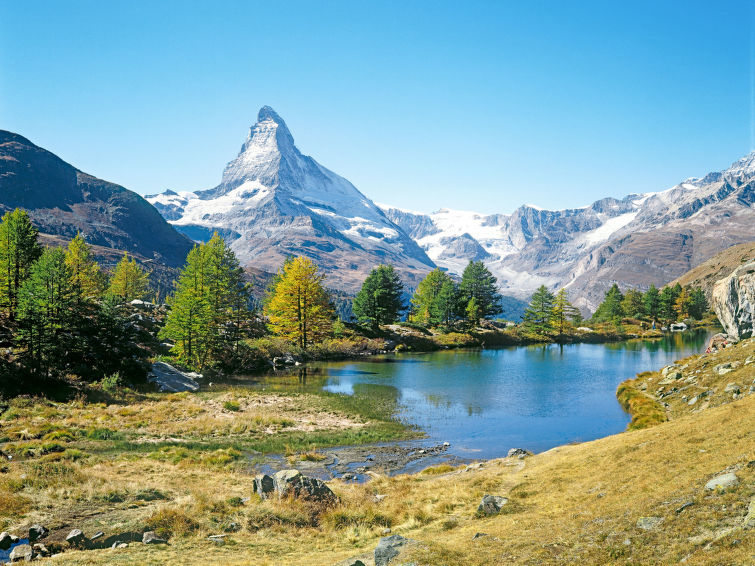 Appartement Sungold - Zermatt