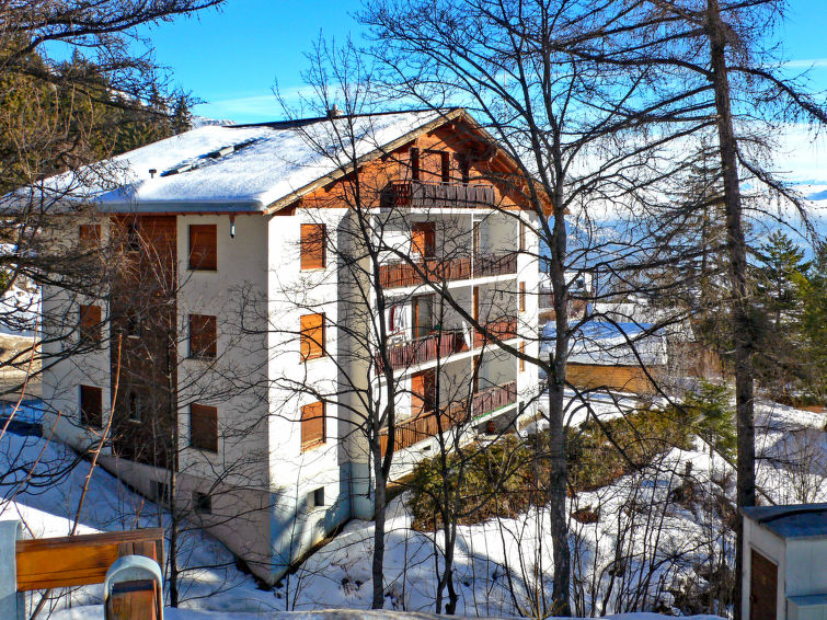 Appartement 3 pièces 4 personnes Confort - Appartement La Scierie - Crans - Montana 