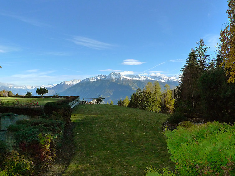 Appartement 1 pièces 2 personnes Confort - Appartement Terrasse des Alpes - Crans - Montana 