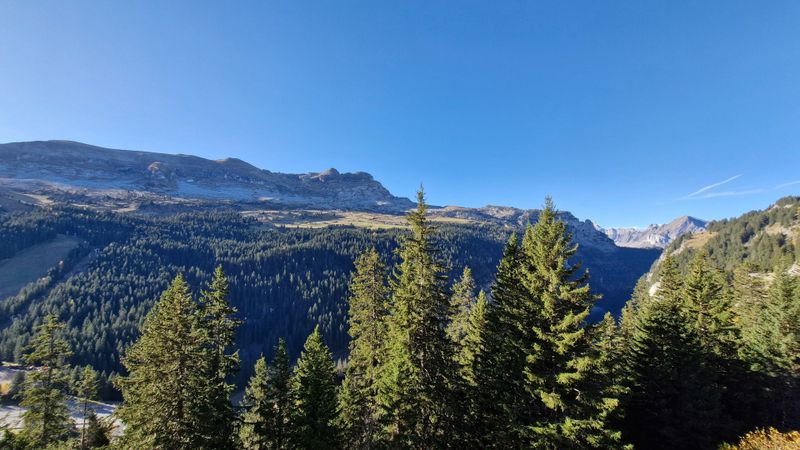 Appartements LES PLEIADES - Flaine Forêt 1700