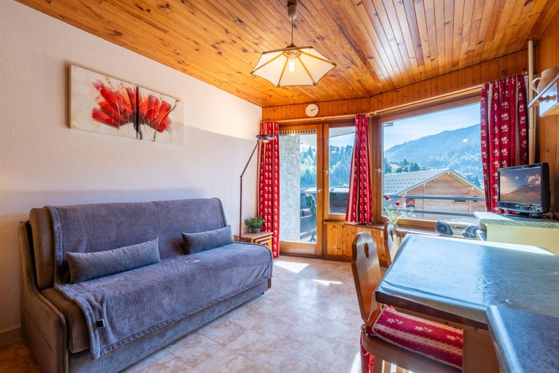 Studio 3 personnes Confort - Appartements PISCINE - La Clusaz