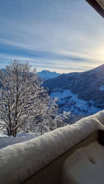 3 pièces 5 personnes vue montagne - Appartement Terrasses du Morel - A17 - Appart 5 pers - Doucy