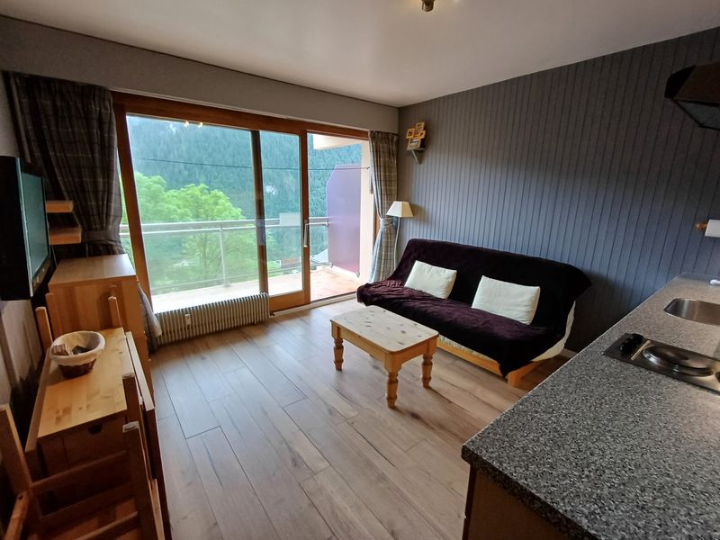 Studio 2 personnes vue montagne - Studio SOLARIUM SR19 SUNNY & VIEW 2 Pers. - Châtel