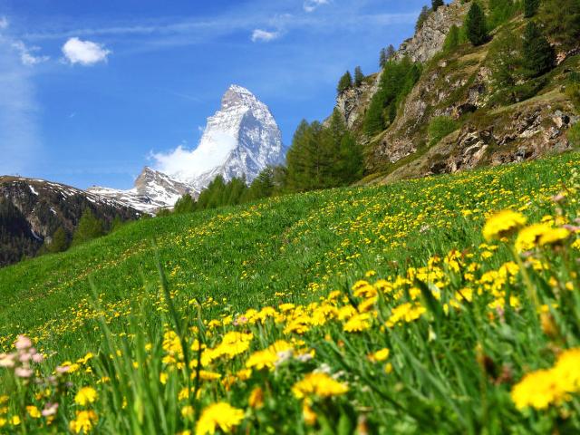 Appartement Wohnungsnr. 12 - Zermatt