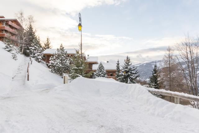 Ski & Soleil - Appartements Les Chalets Du Planay - Plagne Montalbert