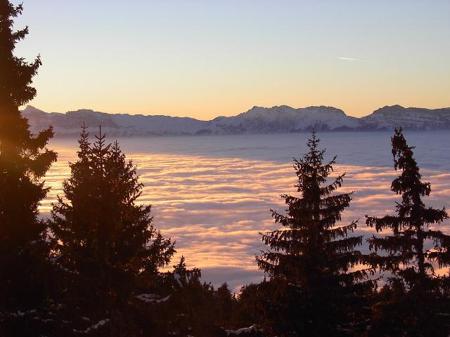 Appartement L'Hippocampe - Chamrousse