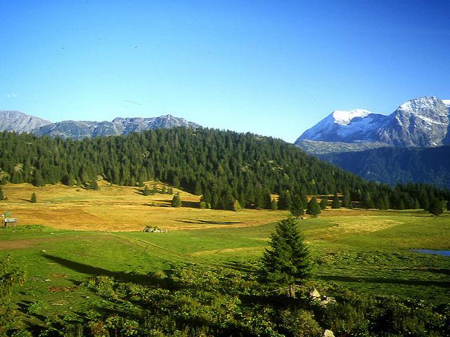 Appartement L'Hippocampe - Chamrousse