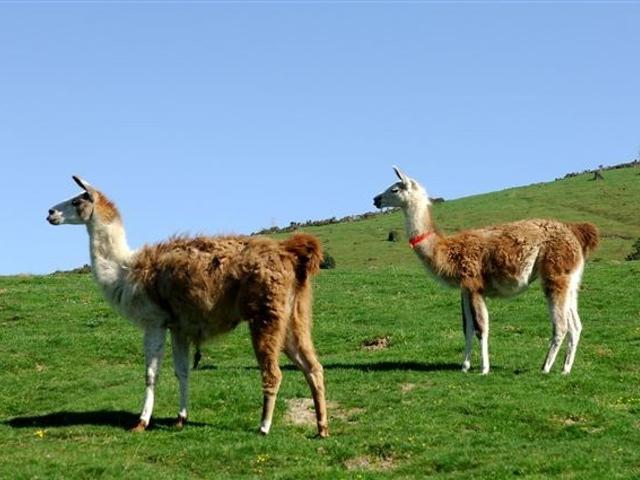 Mongie Tourmalet - La Mongie