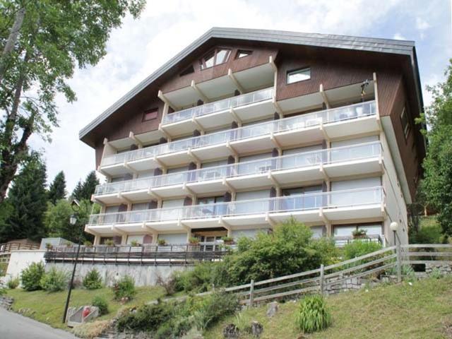 Studio lumineux avec balcon - 4 pers, BBQ électrique, parking couvert, animaux admis FR-1-198-115 - Châtel