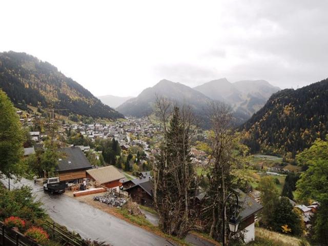 Studio lumineux avec balcon - 4 pers, BBQ électrique, parking couvert, animaux admis FR-1-198-115 - Châtel