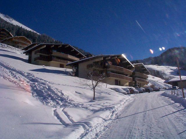 Appartements LE HAMEAU DES QUATRE SAIS - Châtel