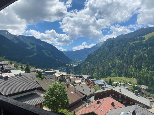 Appartements LES SEILLES - Châtel