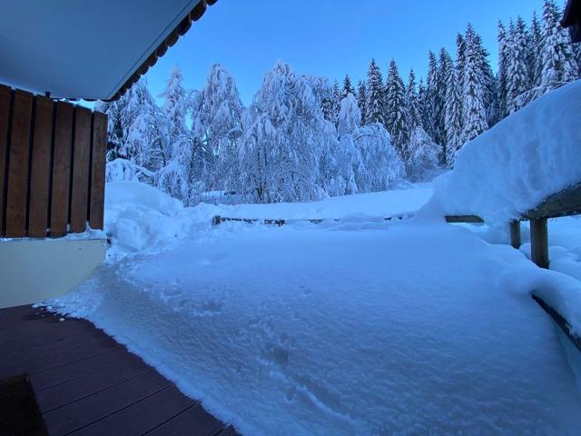 Appartements LES VIOLETTES - Châtel