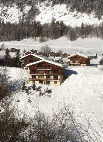 Résidence L'Androsace - Le Grand Bornand