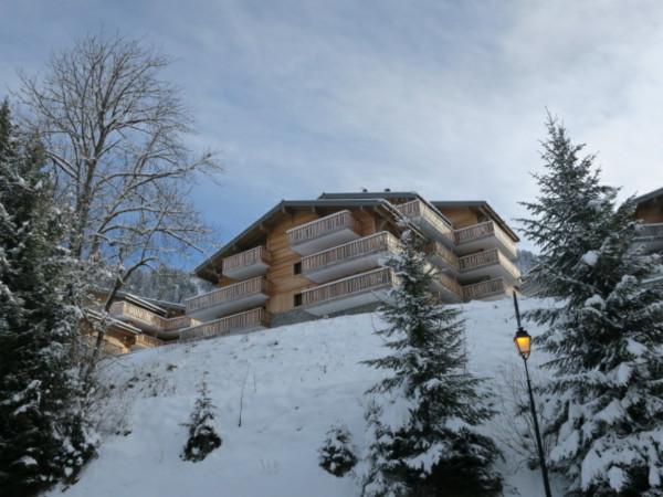 Appartement Les 4 éléments - Châtel