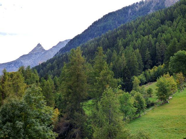 La combe de Moulin - Peisey-Nancroix