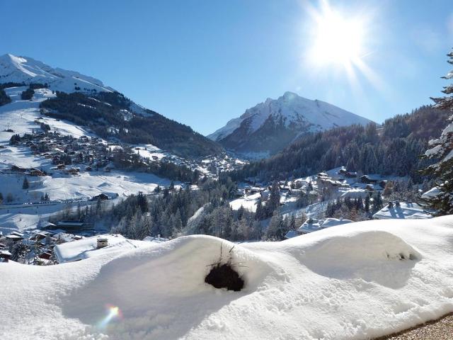 Appartements HAUTS DES RIFFROIDS B - La Clusaz