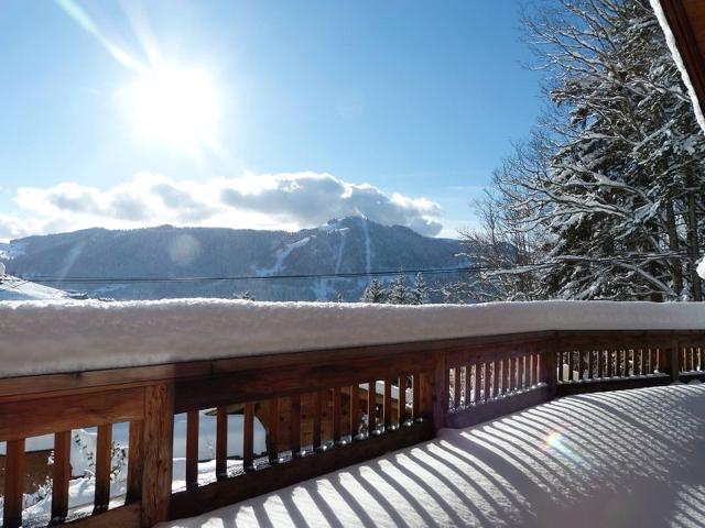 Chalet ROSEBUD - La Clusaz