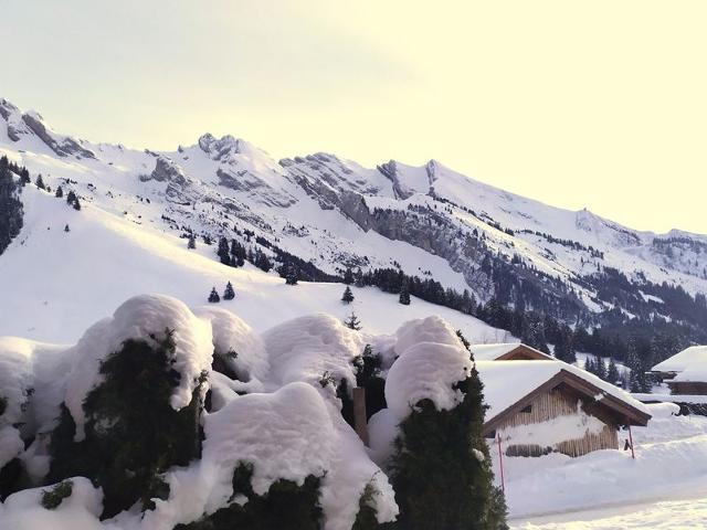 Rez-de-chalet avec terrasse plein Sud, sur les pistes de ski de fond – 6 pers, La Clusaz FR-1-437-29 - La Clusaz