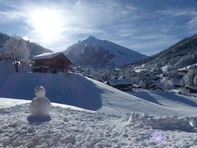 3 pièces, terrasse, parking à La Clusaz FR-1-437-59 - La Clusaz