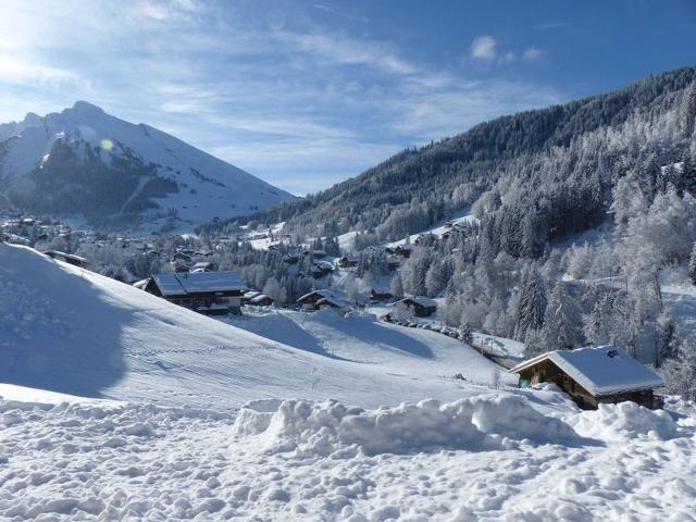 3 pièces, terrasse, parking à La Clusaz FR-1-437-59 - La Clusaz