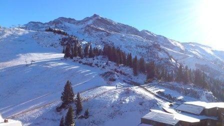 Appartements HAUTS-FORTS 2 - Avoriaz