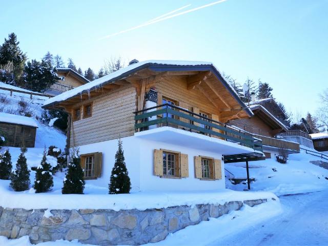 Chalet Emmanuel - Nendaz