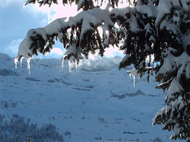 Appartement Aldebaran ALDN4 - Flaine Forum 1600