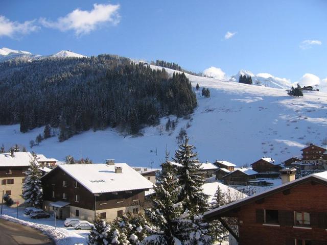 Proche village, aux pistes et espace aquatique, 2 pièces + coin nuit, garage, animaux admis FR-1-437-31 - La Clusaz