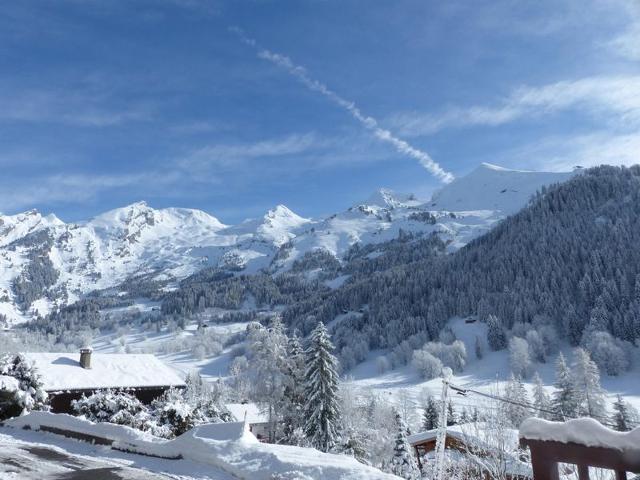 Bel appartement 3 ch, calme, garage, Wifi FR-1-437-18 - La Clusaz