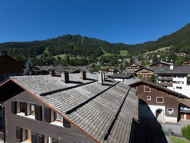 Appartement 2 Chambres au Centre, Proche Pistes, Wifi, Animaux Bienvenus FR-1-437-37 - La Clusaz