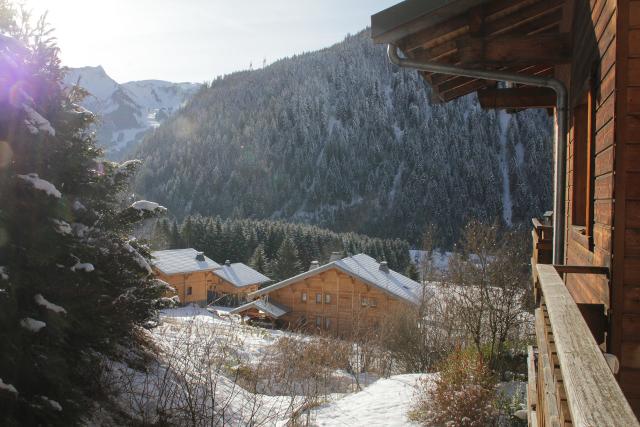 Appartements LE PETIT SAVOYARD - Châtel